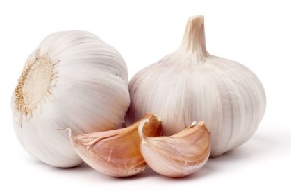 HP Garlic