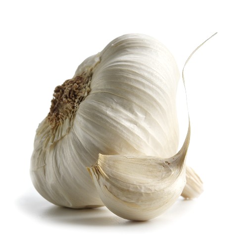 HP Garlic